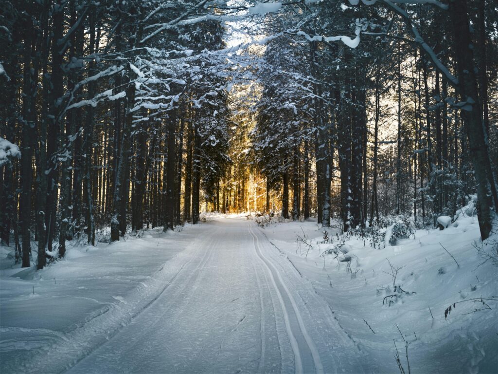 trip gallery image